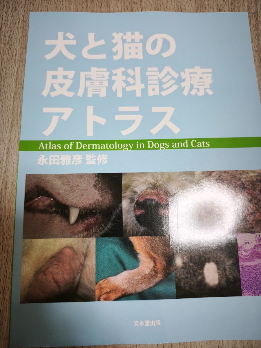 狗和猫的皮肤科诊疗阿特拉斯兽医本已剪裁