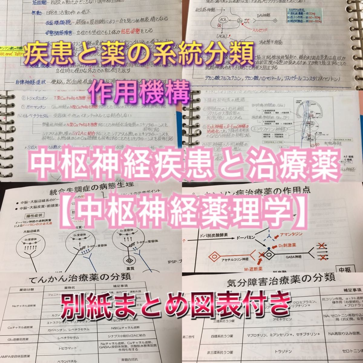 歯科医師国家試験、CBT、歯学部定期試験対策【中枢神経疾患薬理学】まとめセット