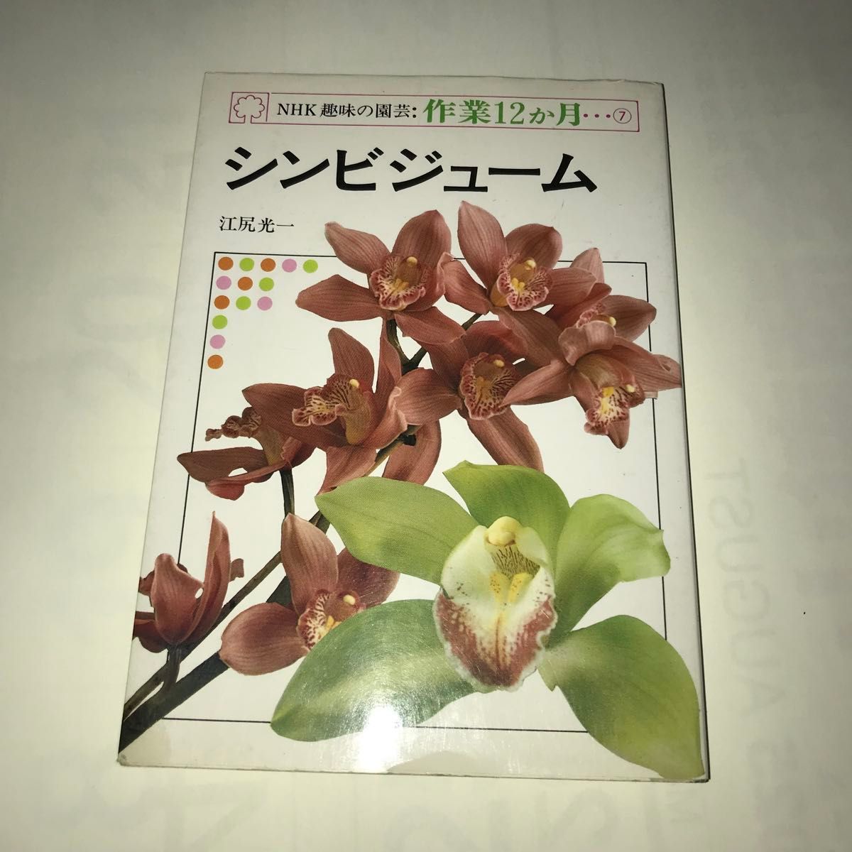 NHK趣味の園芸 作業12か月 シンビジューム 江尻光一