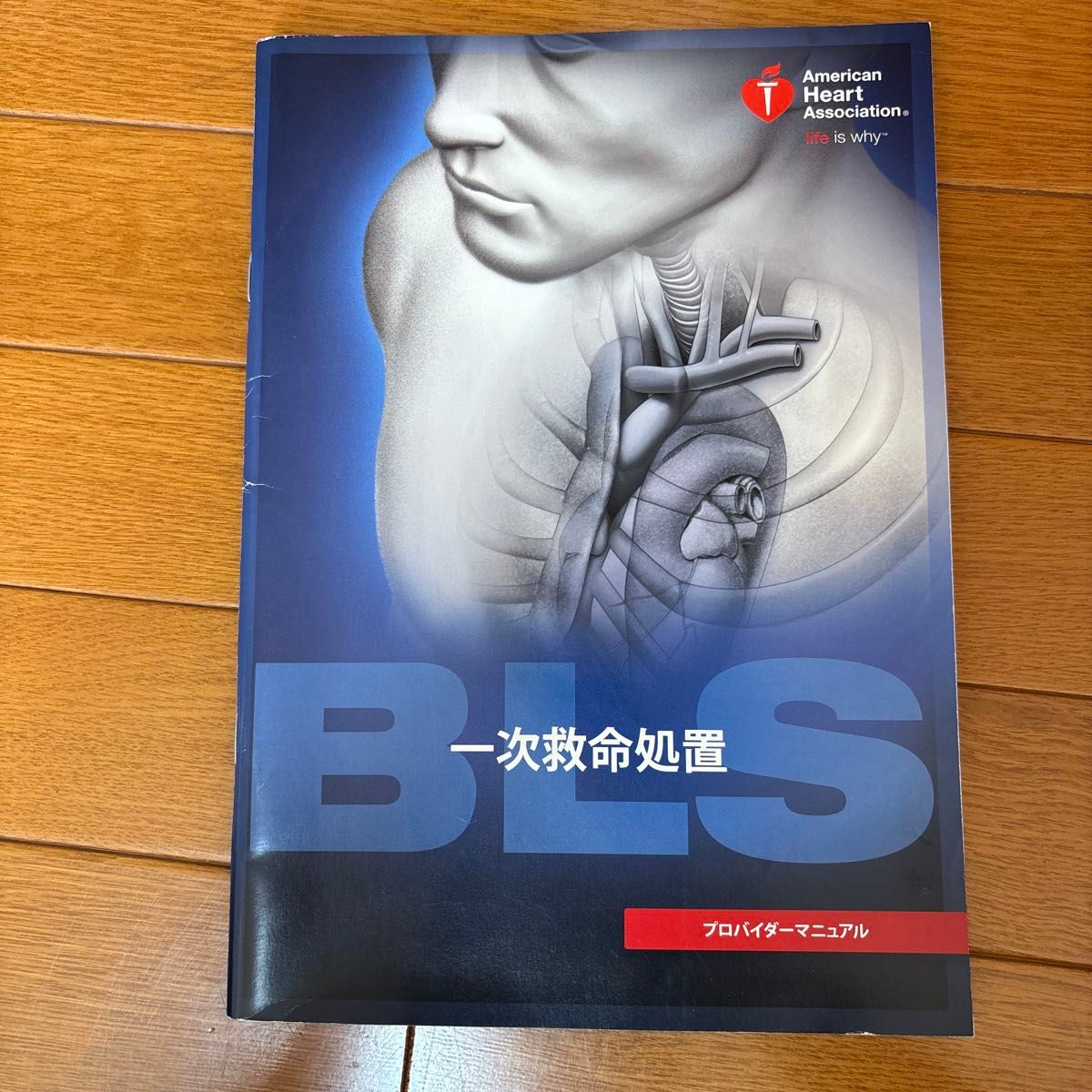 BLS 提供者手册 基本生命支持 AHA 指南