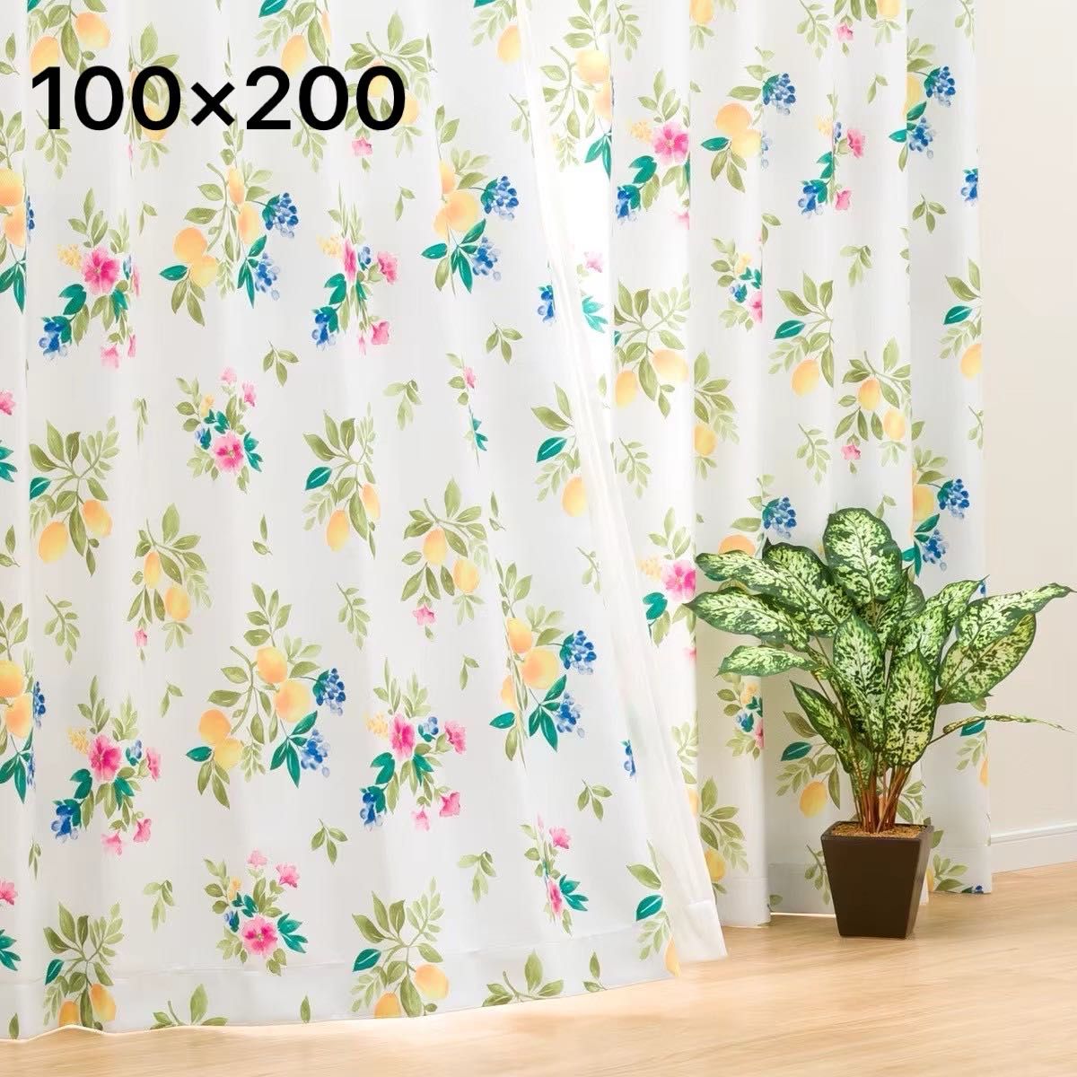 新品【柠檬花】NITORI 褶皱窗帘 2片装 100×200