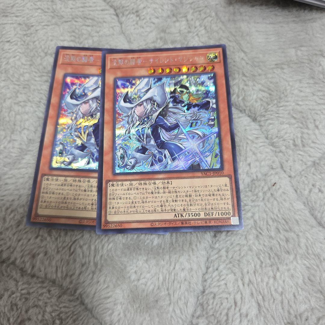 Yu-Gi-Oh! Chaos Wizard - Black Paladin Secret Rare x2