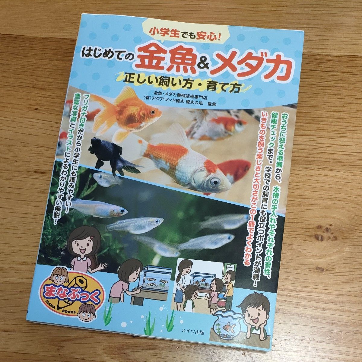 【【定价半价以下】小学生也能安心！初学金鱼和青鳉的正确饲养与培育指南