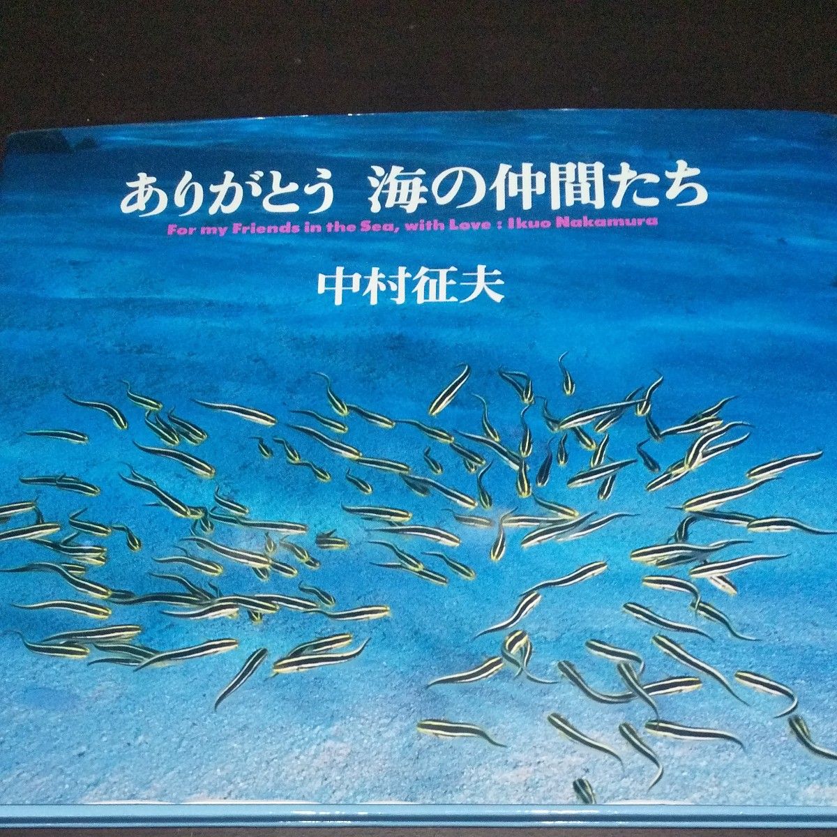 【谢谢海的伙伴们】 (中村征夫写真集)
