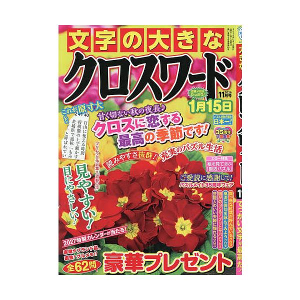 大号文字填字游戏 2026年11月号