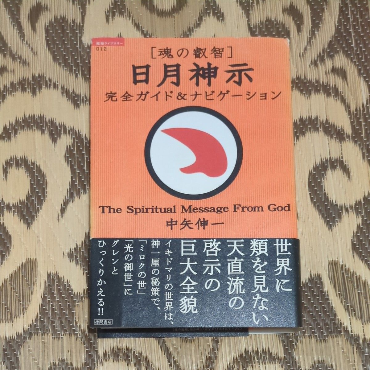 《灵魂的睿智》日月神示完全指南与导航(超知图书馆 012) 中矢伸一 著