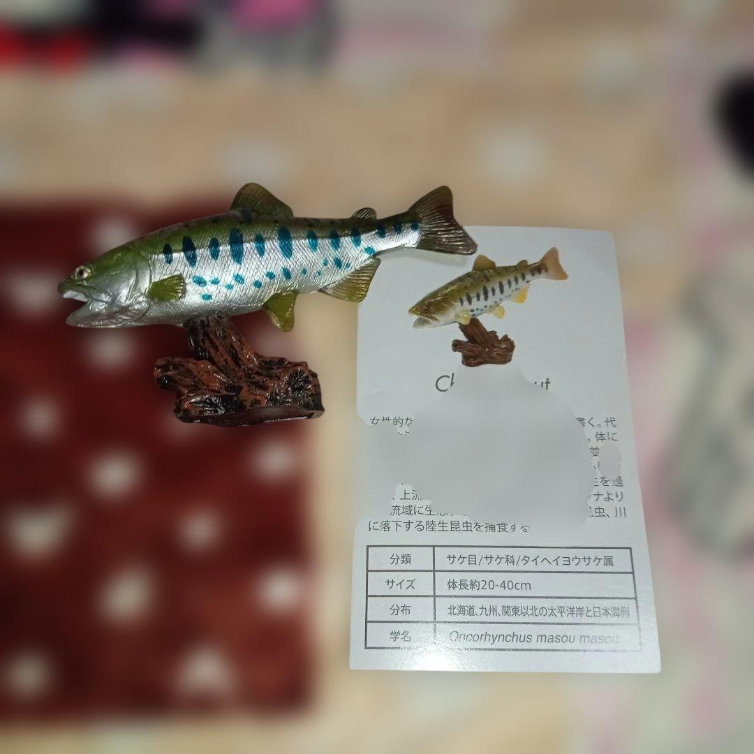 Sakramas Figure Fish Model