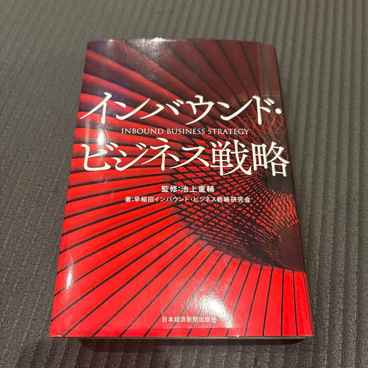 入境旅游业务战略/池上重辅/早稻田入境旅游业务战略研究会