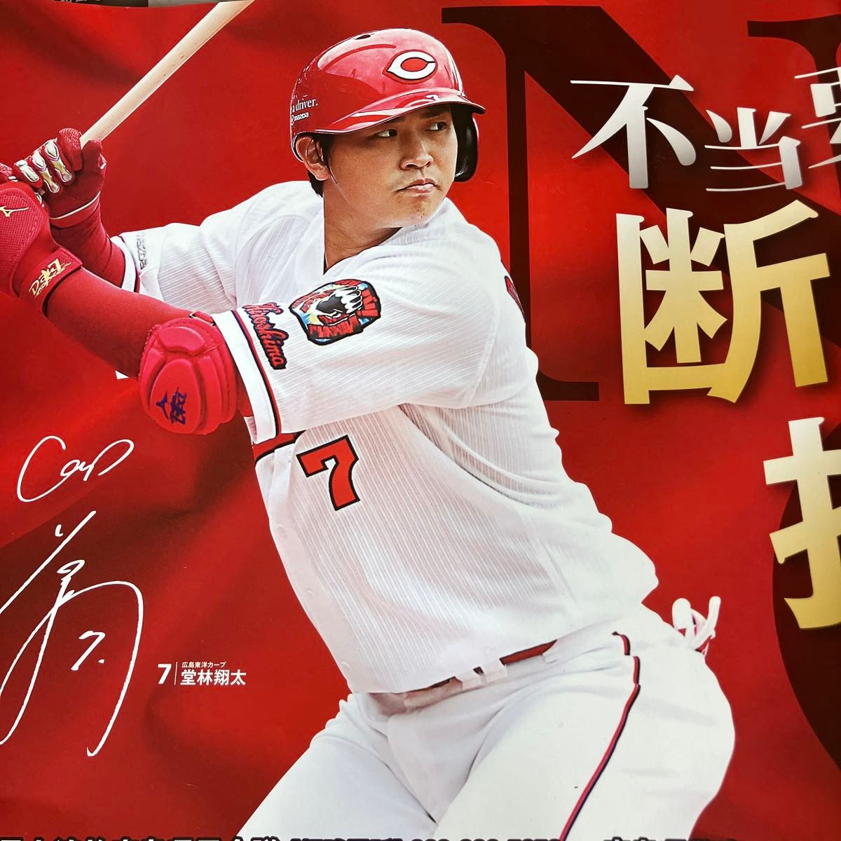 广岛鲤鱼队堂林翔太 广岛东洋鲤鱼
