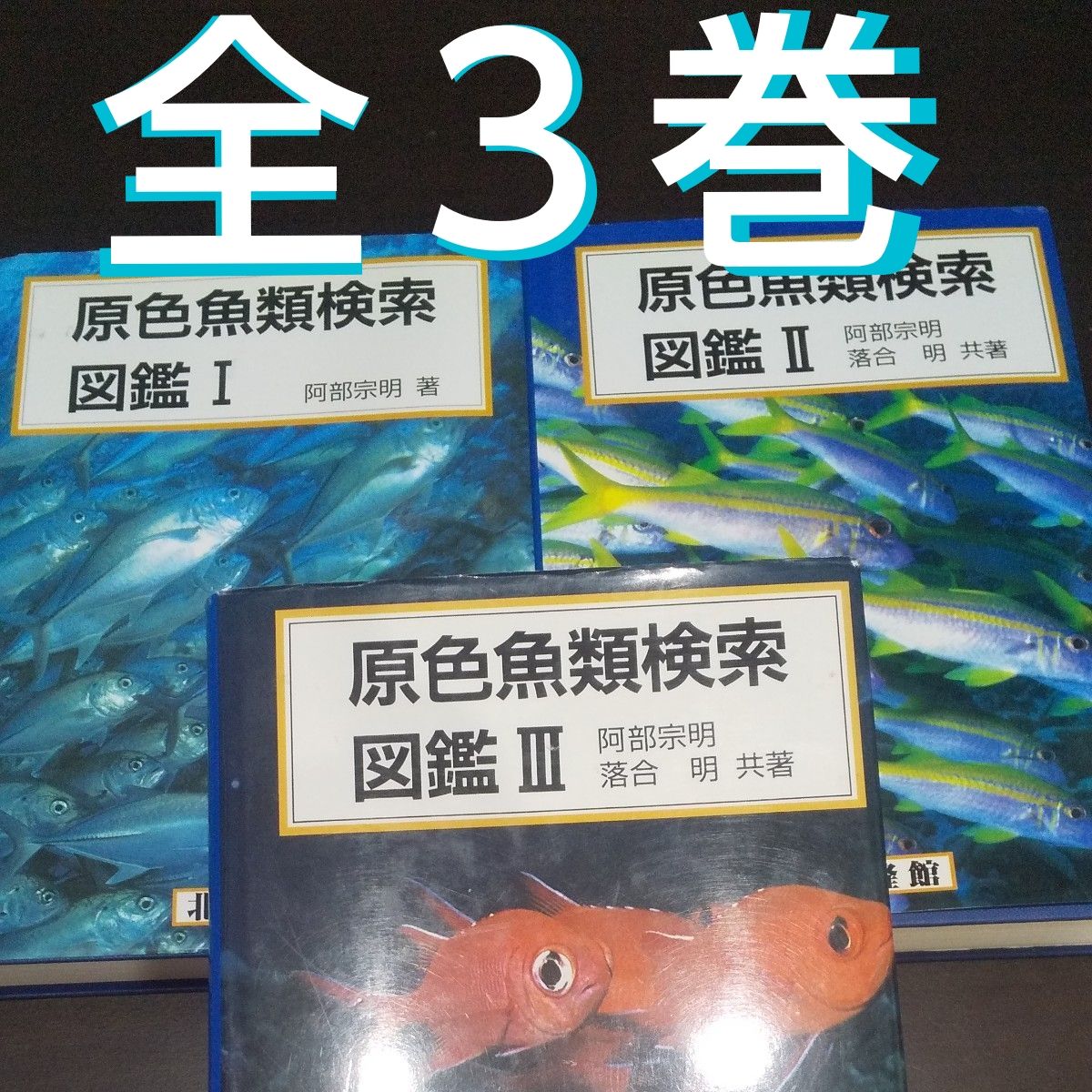 【原色鱼类检索图鉴 ① ② ③ (改订13版)】《3册套》