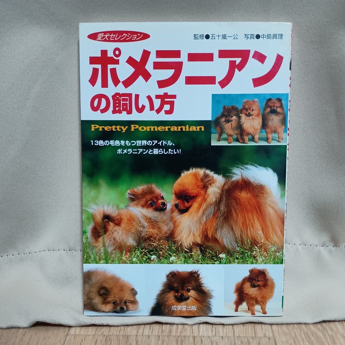波美犬饲养指南 爱犬精选 成美堂出版
