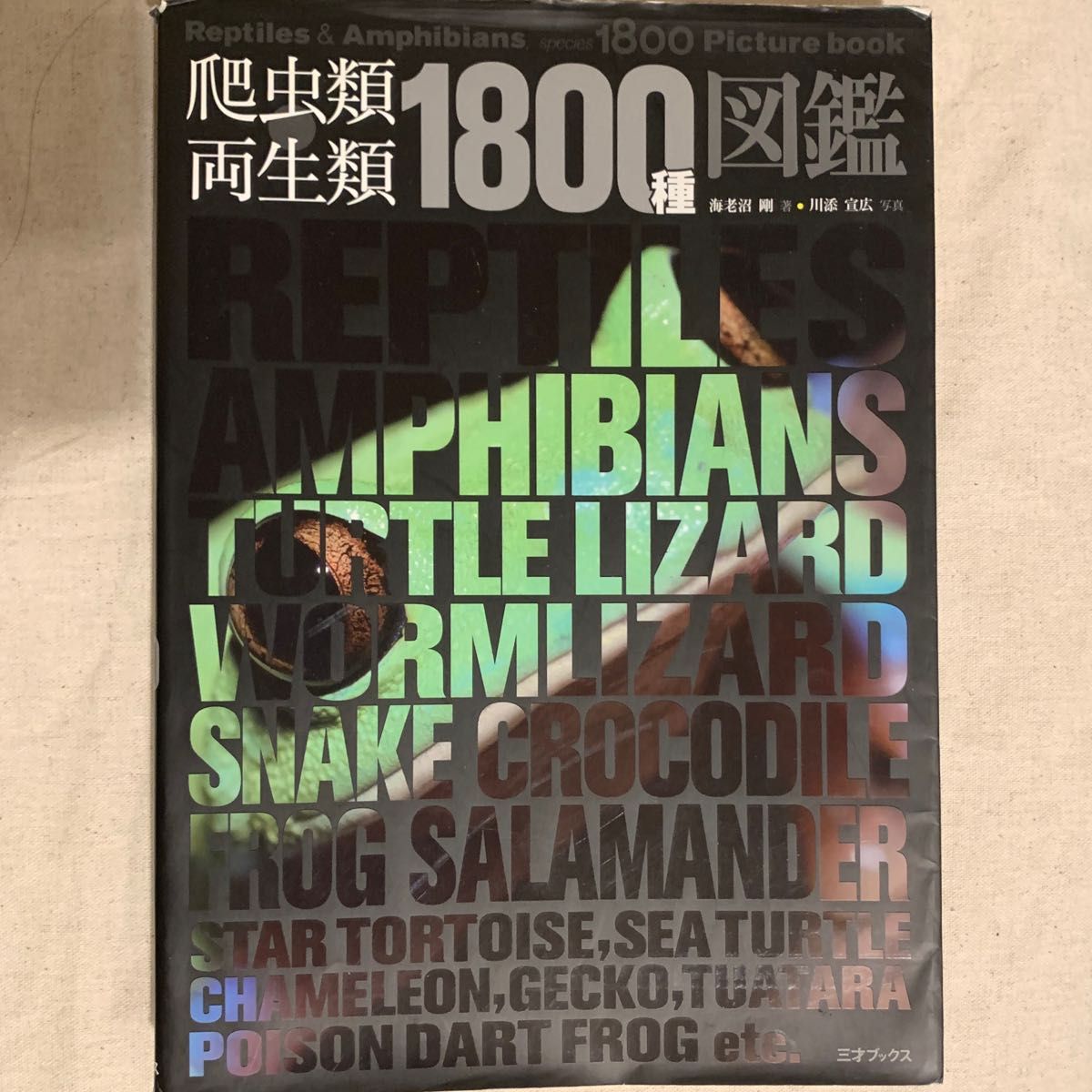 爬虫类 · 两栖类1800种图鉴虾沼刚
