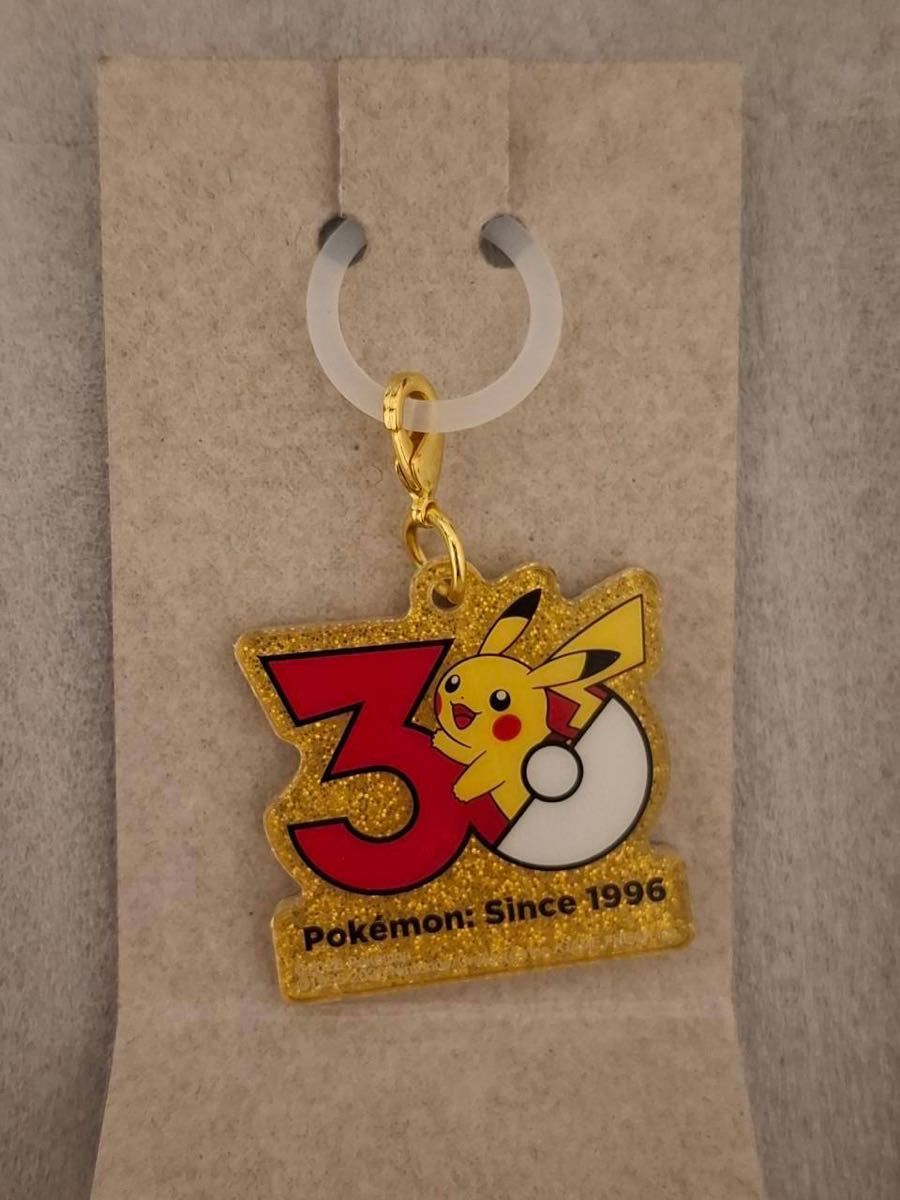 神奇宝贝Pok-Charm 30周年纪念标志吉祥物皮卡丘丙烯魅力