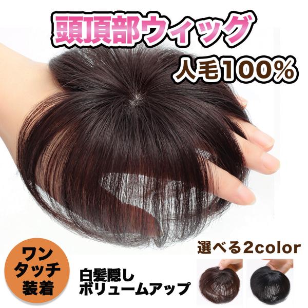 頭頂部 ウィッグ 部分ウィッグ ヘアピース 部分かつら 女性 メンズ ウイッグ 人毛 自然 白髪隠し 医療用 ヘアーピース つけ毛