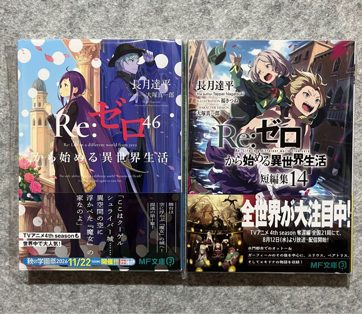 Re: 从零开始的异世界生活46卷 · 短篇14卷