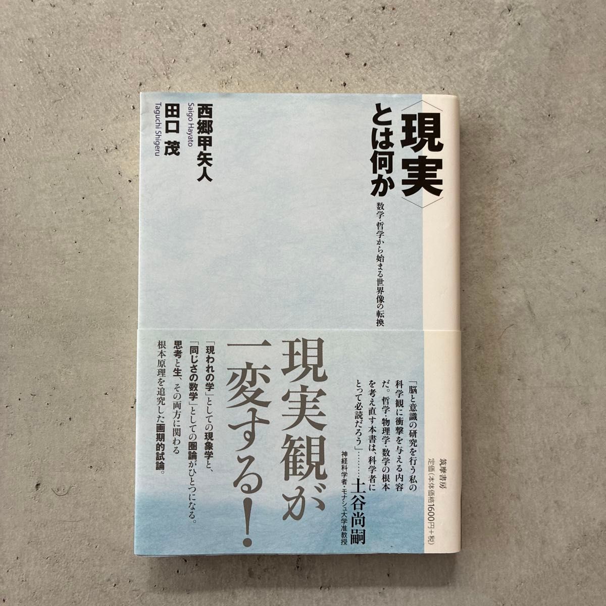 什么是“现实”：从数学与哲学开始的世界观转变（筑摩选书 0182） 西乡甲矢人／著 田口茂／著