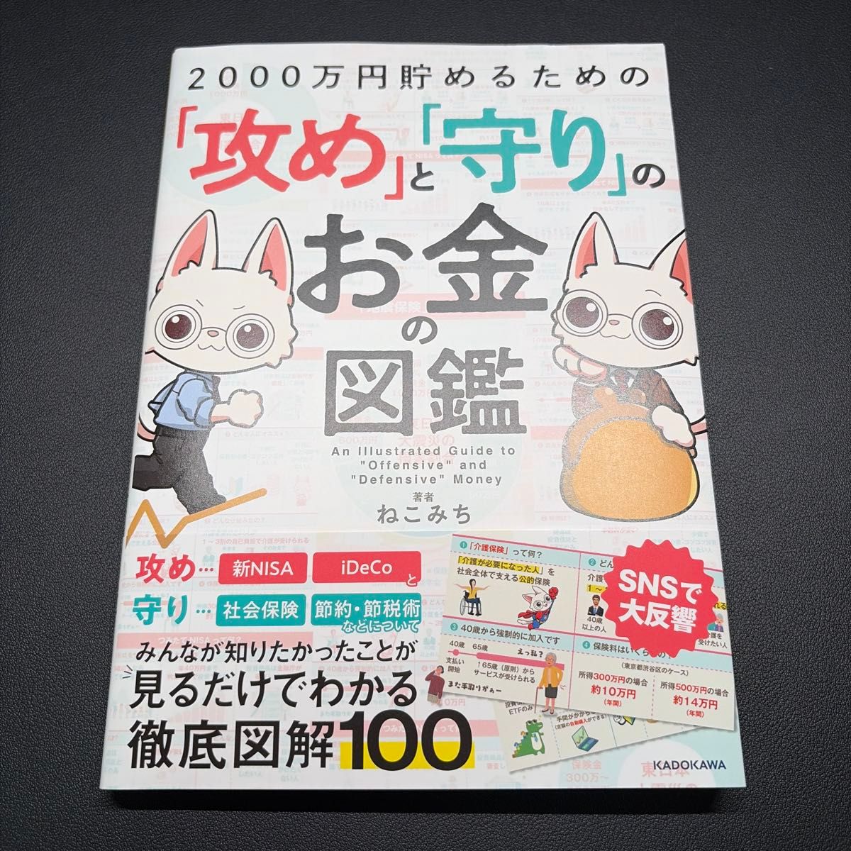 为存下2000万日元的“进攻”与“防守”理财图鉴 猫道