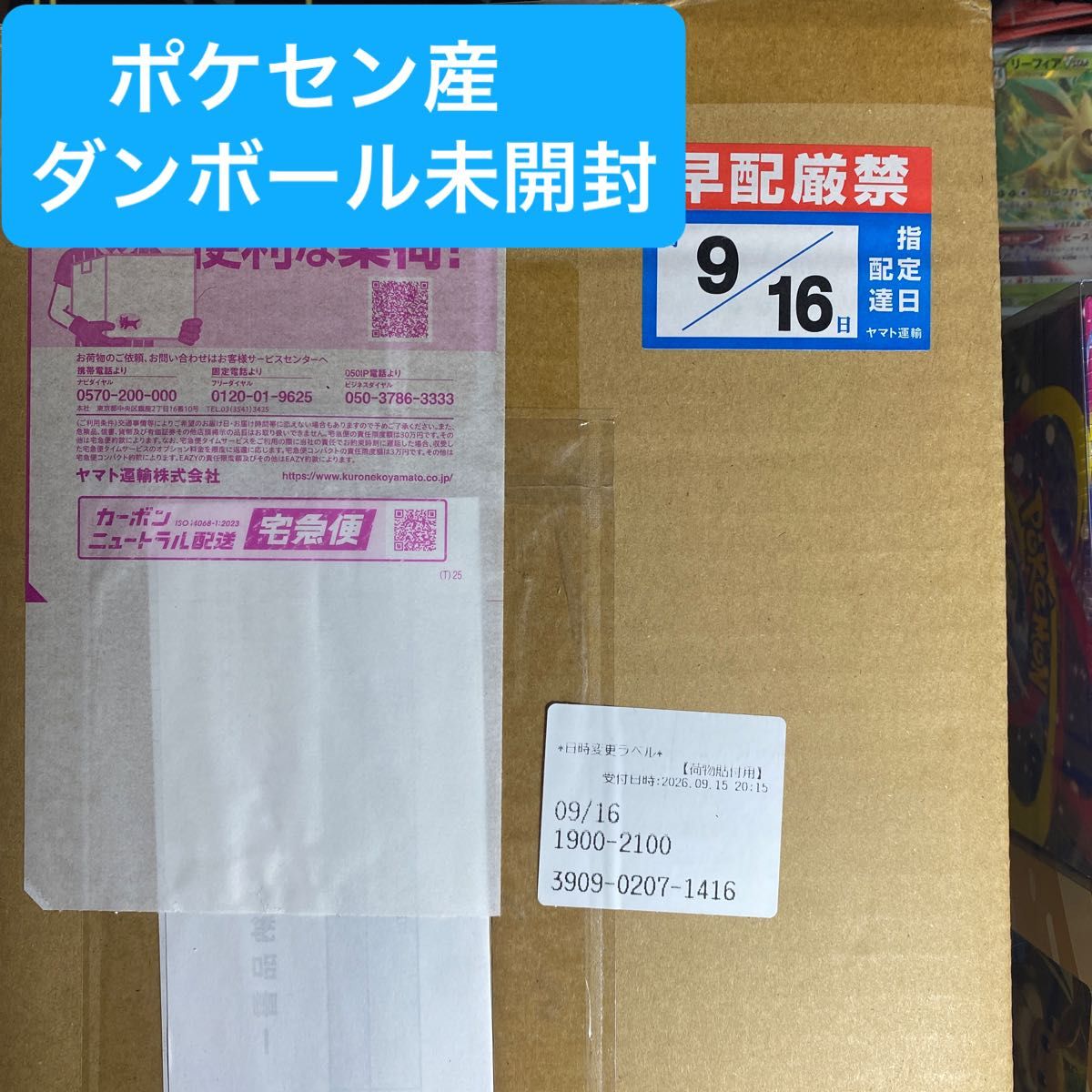 神奇宝贝卡片游戏CELEBRATION FUTURISTIC BOX神奇宝贝产品正规品纳品书