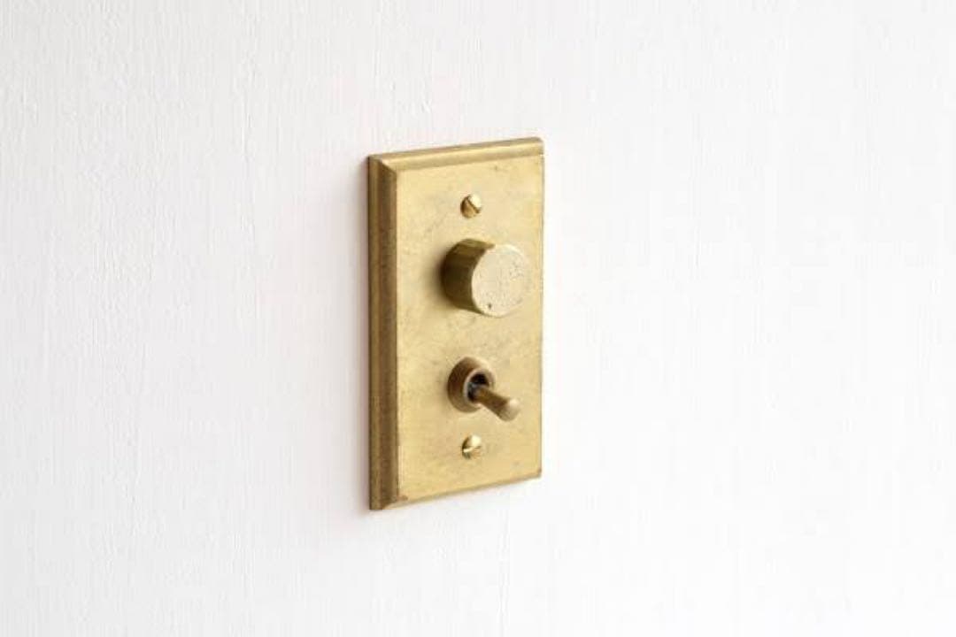 [Unused] Futagami Brass Dimmer + Single-Pole Toggle 2-Circuit 2-Gang Switch