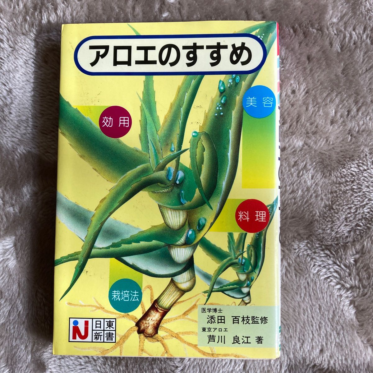 芦荟推荐