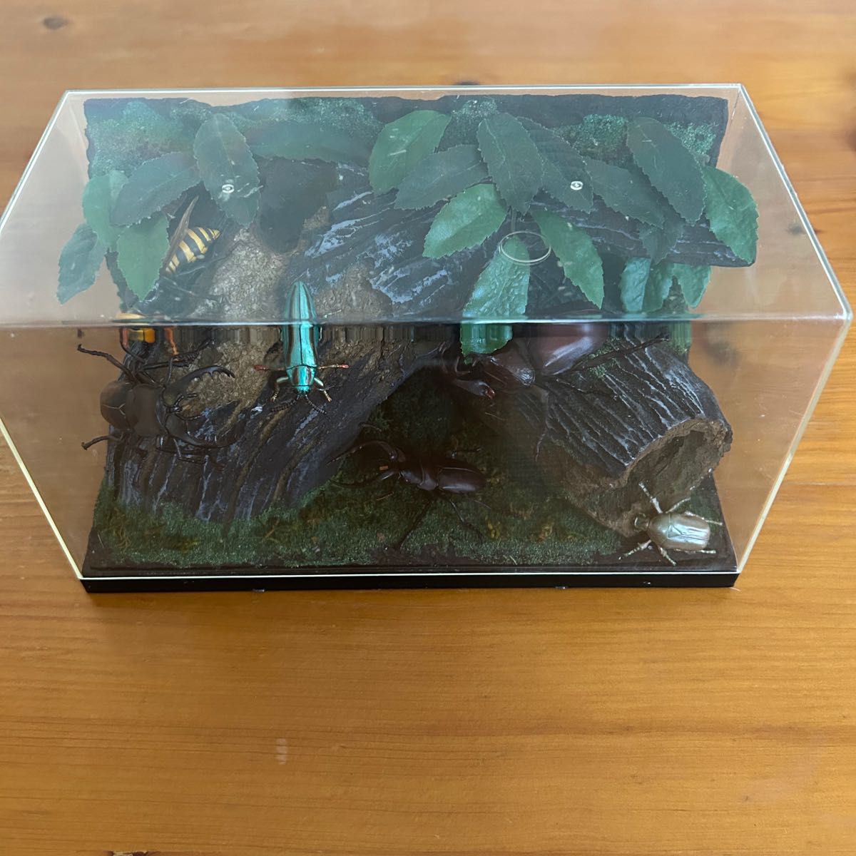Primary color Japanese insect book diorama