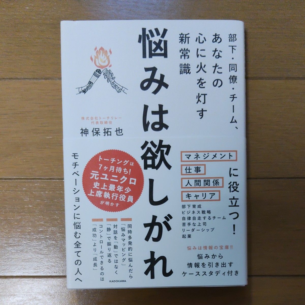 烦恼值得渴望 神保拓也 著 商业书籍 自我提升