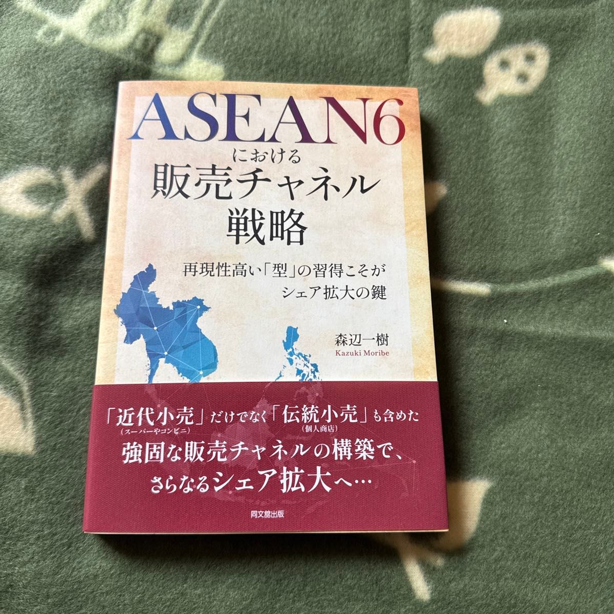 ASEAN6 销售渠道策略：掌握高可复制性的“模式”才是扩大市场份额的关键，作者：森边一树