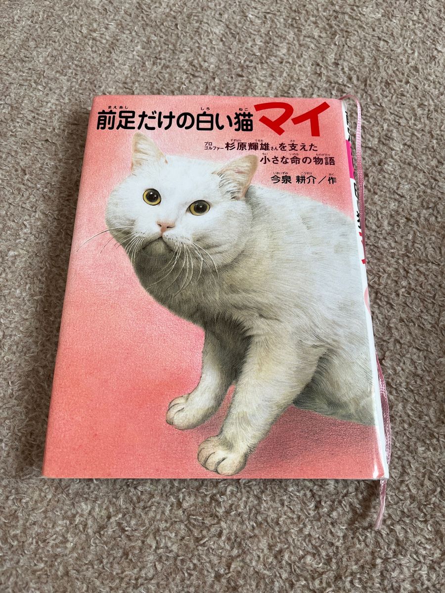 只有一只前爪的白猫——支撑着职业高尔夫球手杉原辉雄先生的小生命故事
