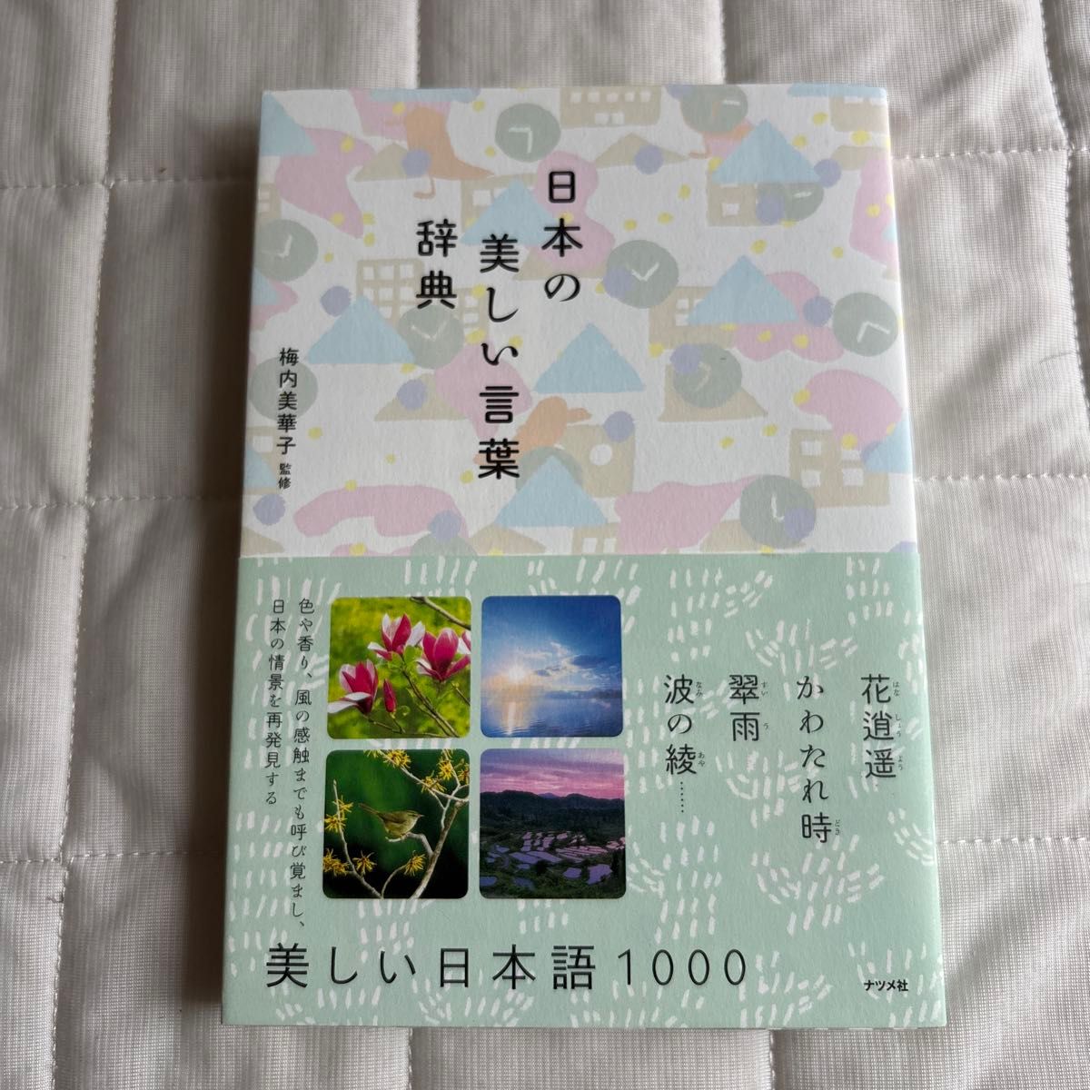 日本优美词语词典 梅内美华子 监修 枣出版社