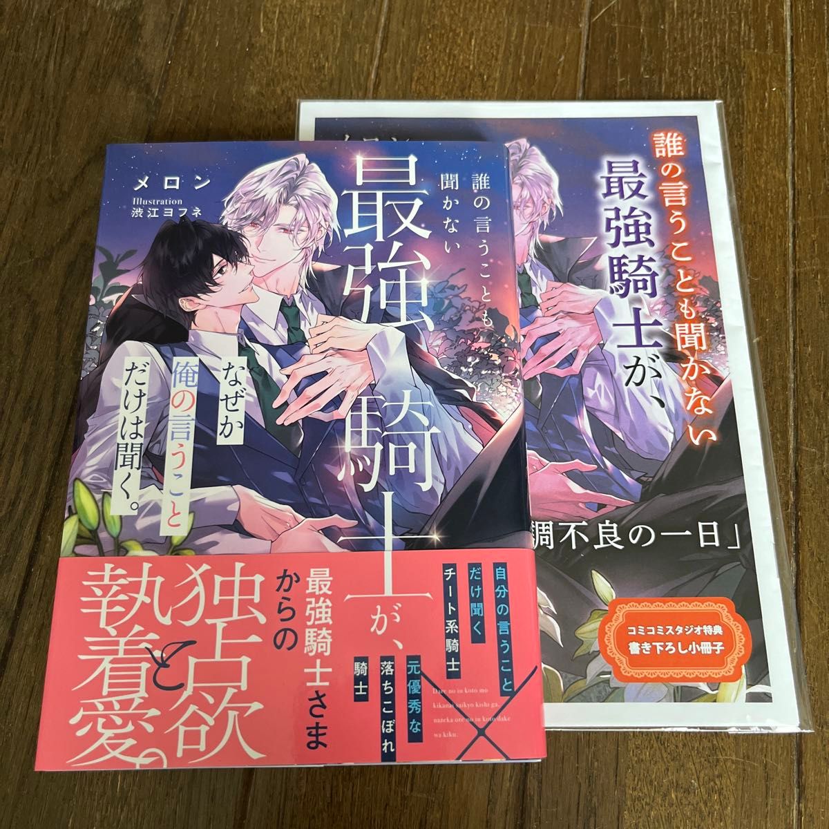 誰の言うことも聞かない最強騎士が、なぜか俺の言うことだけは聞く。 メロン 特典小冊子付