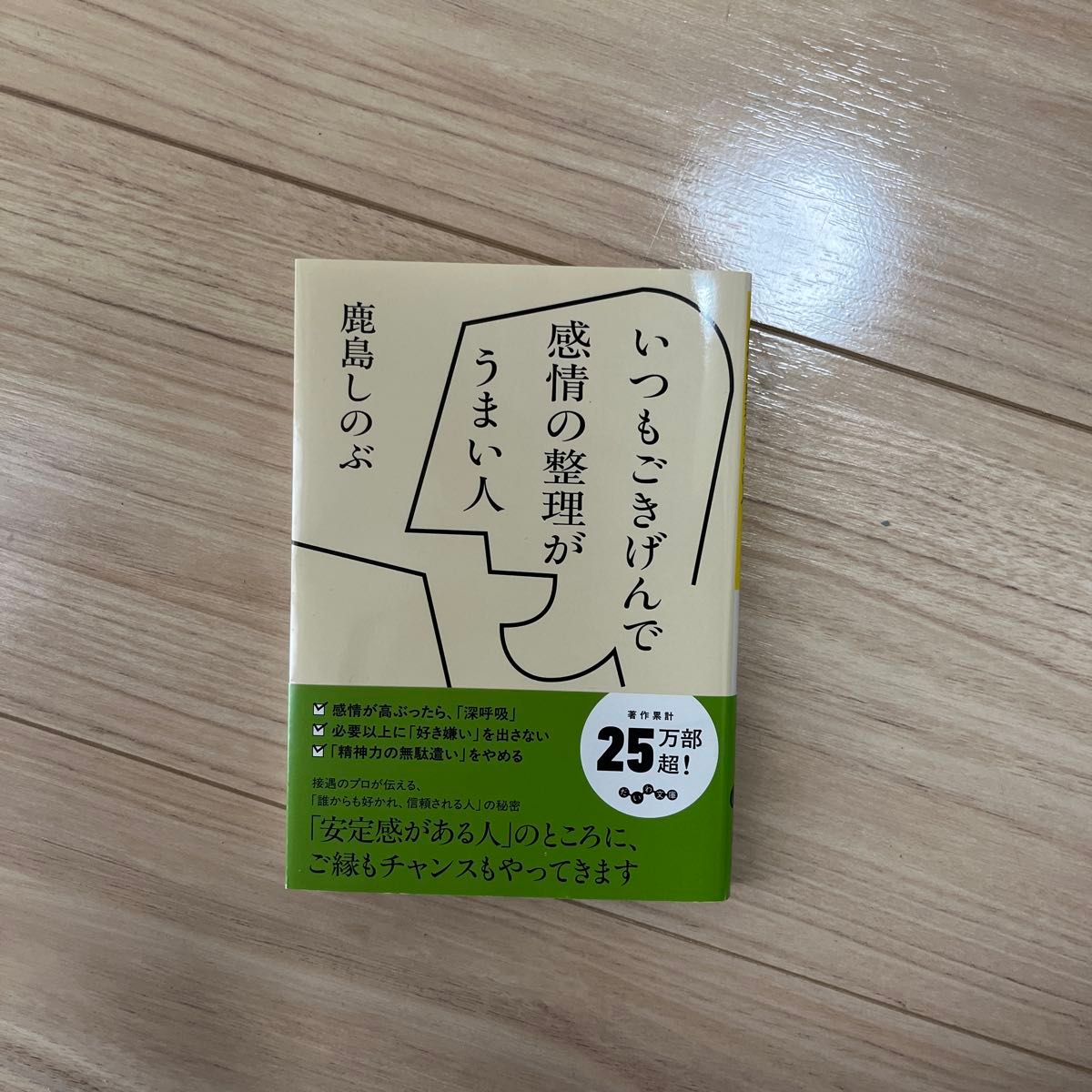 总是心情愉快、善于整理情绪的人 (大和文库 425-3B ) 鹿岛忍/著