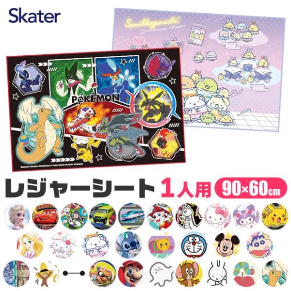 SKATER 滑板爱好者 休闲野餐垫 单人款 便携式 远足 登山 野餐 防水 尺寸 儿童款 男童 女童 动漫图案 幼儿园 小学生 远足用