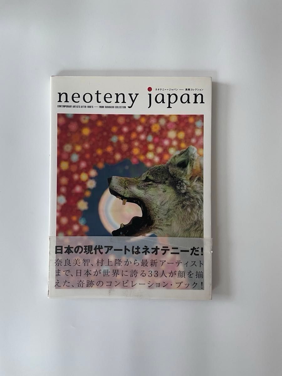 日本新成人 高橋收藏 现代艺术 汇编书籍