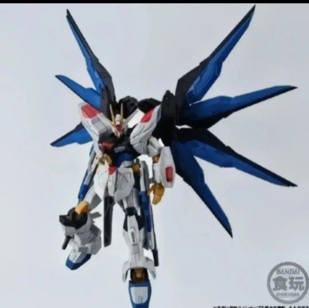 Gundam G-Frame FA 08 Strike Freedom + Option Parts Set