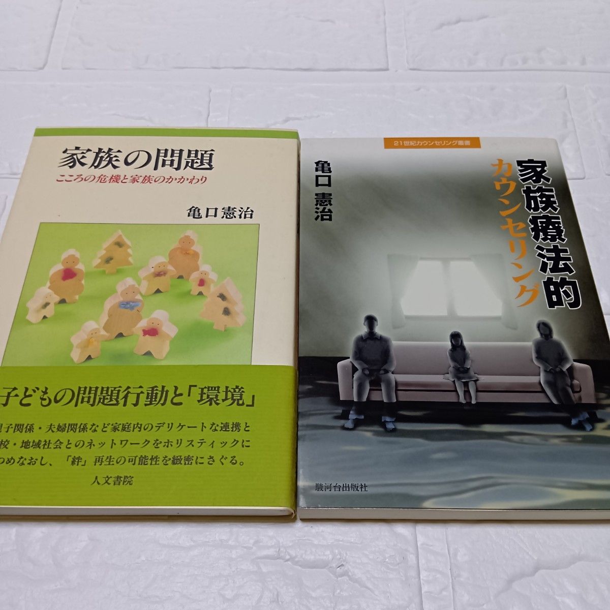 【家庭问题心的危机和家庭的关系】【家庭疗法的咨询 (21世纪咨询丛书) 】龟口宪治/着