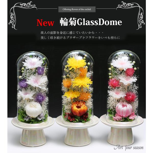 Buddhist Flower Preserved Flower Buddhist Flower Burizado Flowera- Buddhist Flower For Buddhist Altar Offering Flower Non-Wilting Flower Preserved Flower Buddhist Flower Glass Dome Offering Flower [Rinkiku Glass]
