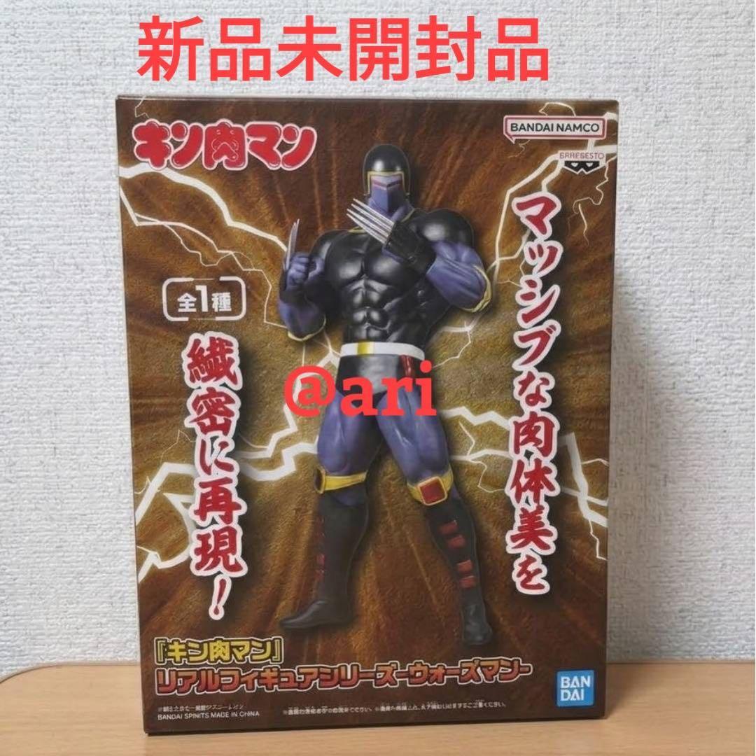 Kinnikuman Real Figure Series Warsman Figure