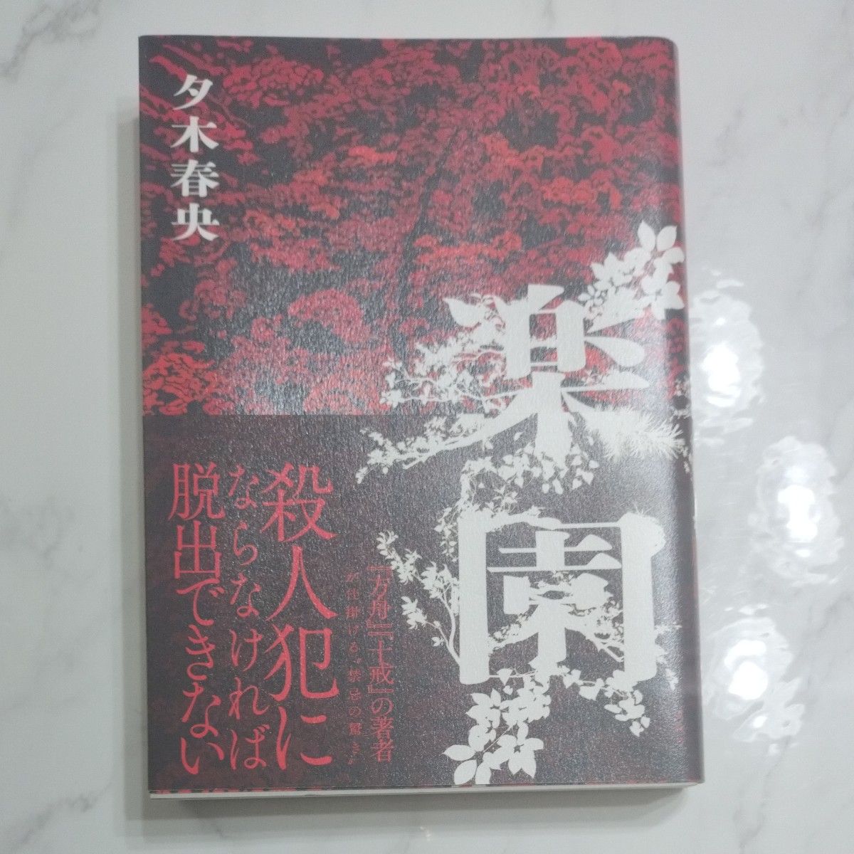 楽園 夕木春央/著