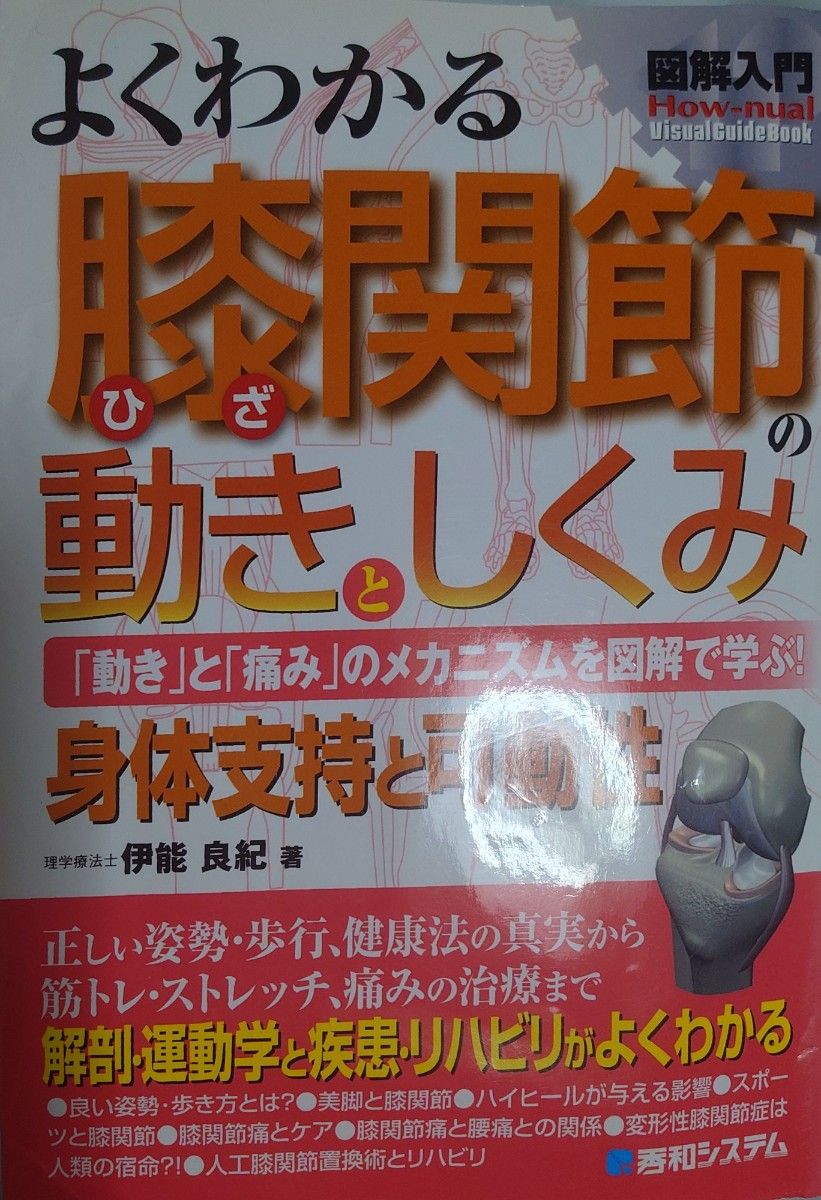 熟悉的膝关节的动作和结构图解入门身体支持和运动性伊能良纪