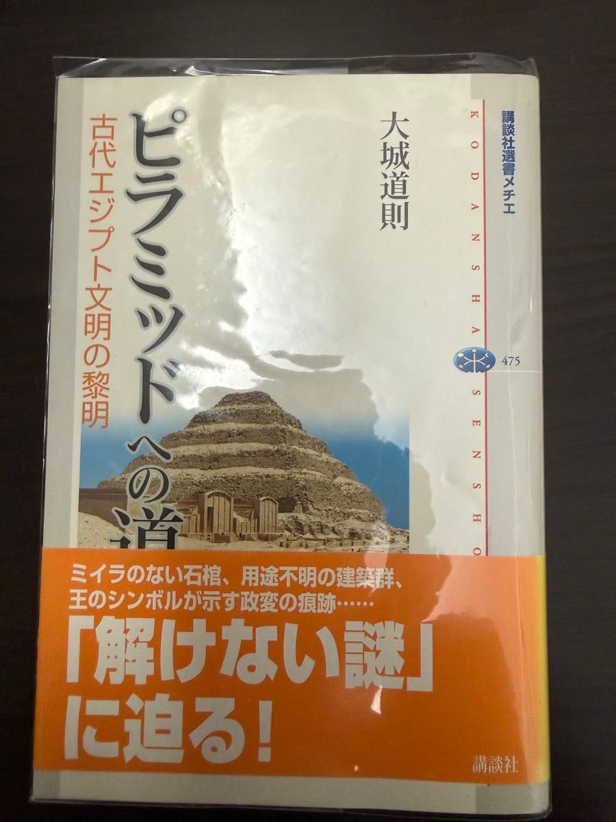 通往金字塔之路：古埃及文明的黎明，大城道则，讲谈社选书Methie