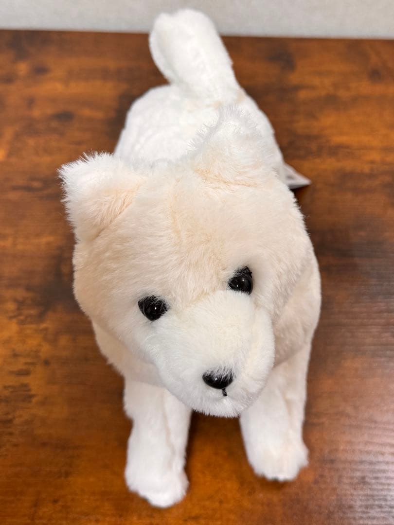 FANS秋田犬毛绒玩具BIG白毛约26cm新品未使用带标签的赠品