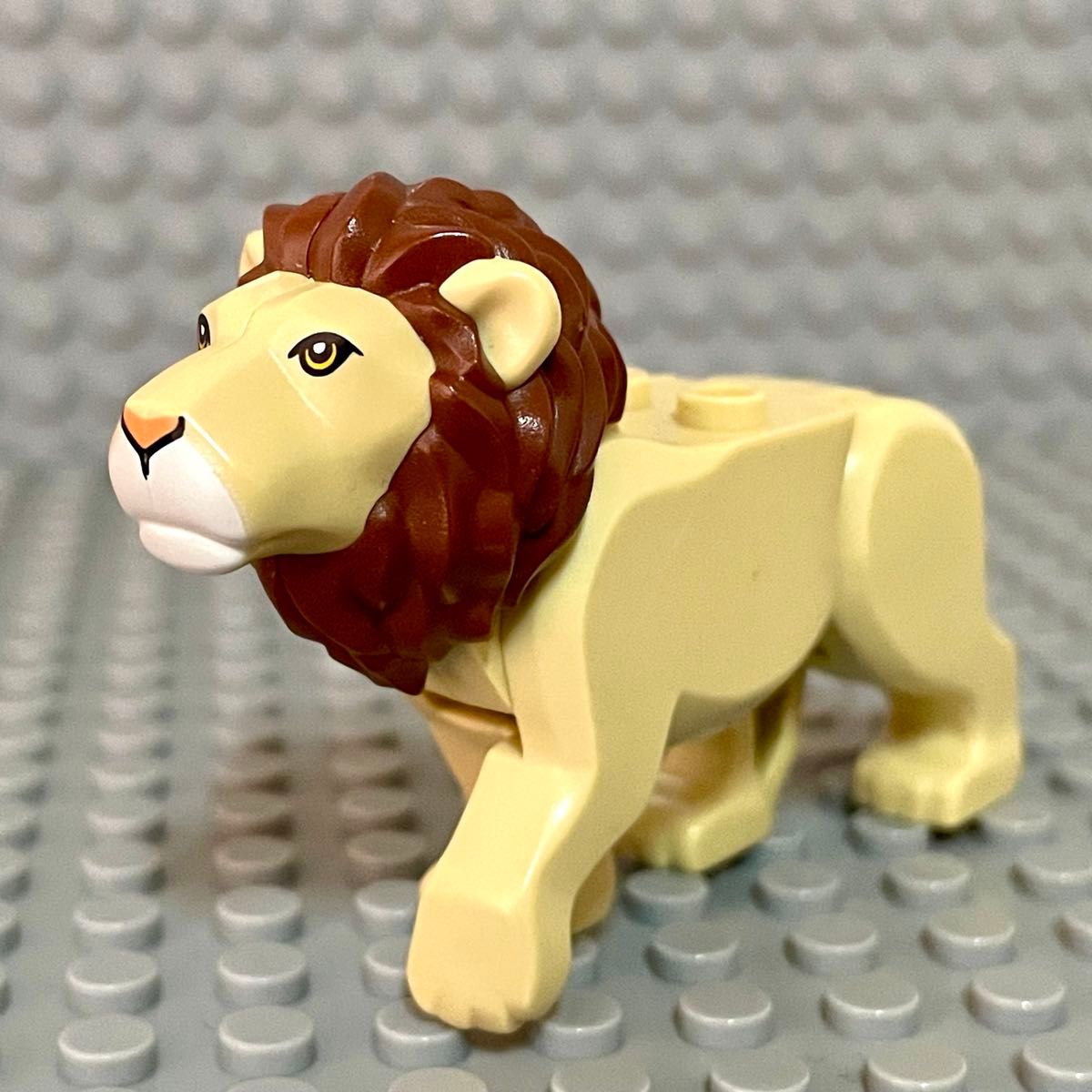 乐高LEGO迷你菲格雄狮雄狮动物