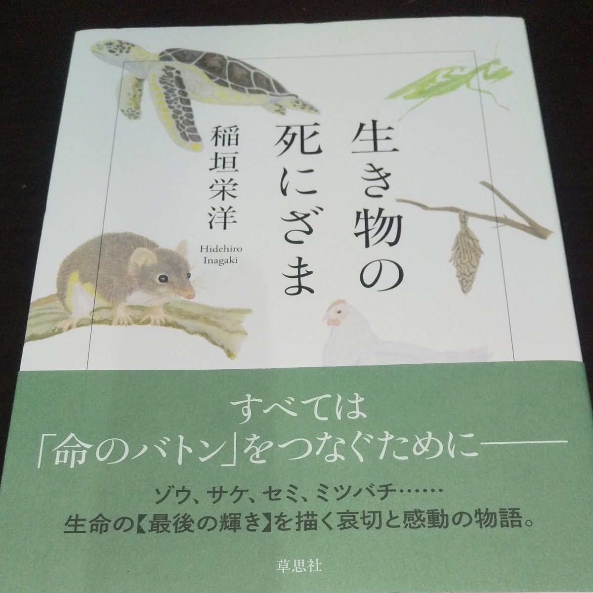 【生物的死亡】