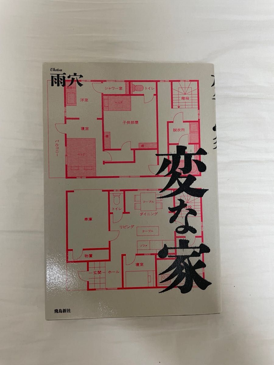 奇怪的家 雨穴 飞鸟新社 单行本 恐怖推理小说