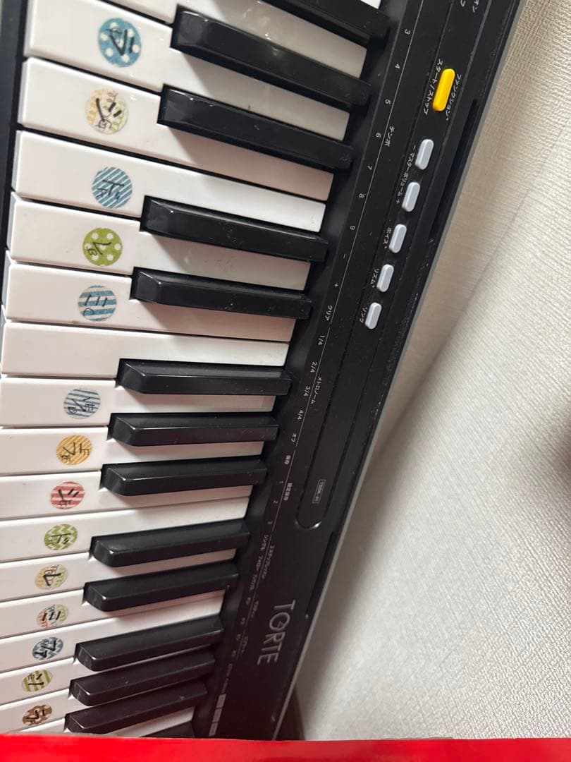 TORTE Electronic Keyboard Unit
