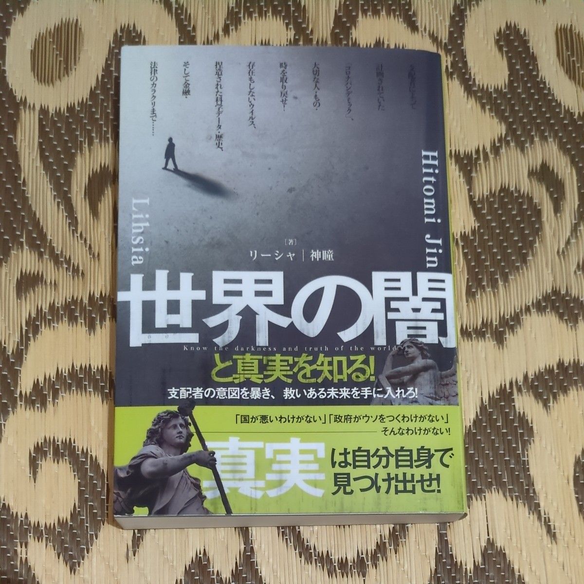 了解世界的黑暗与真相!揭露统治者的意图,获取有救赎的未来!莉莎/著 神瞳/著