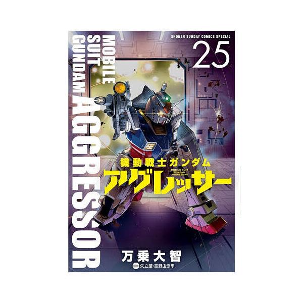 Mobile Suit Gundam Aggressor Volume 25