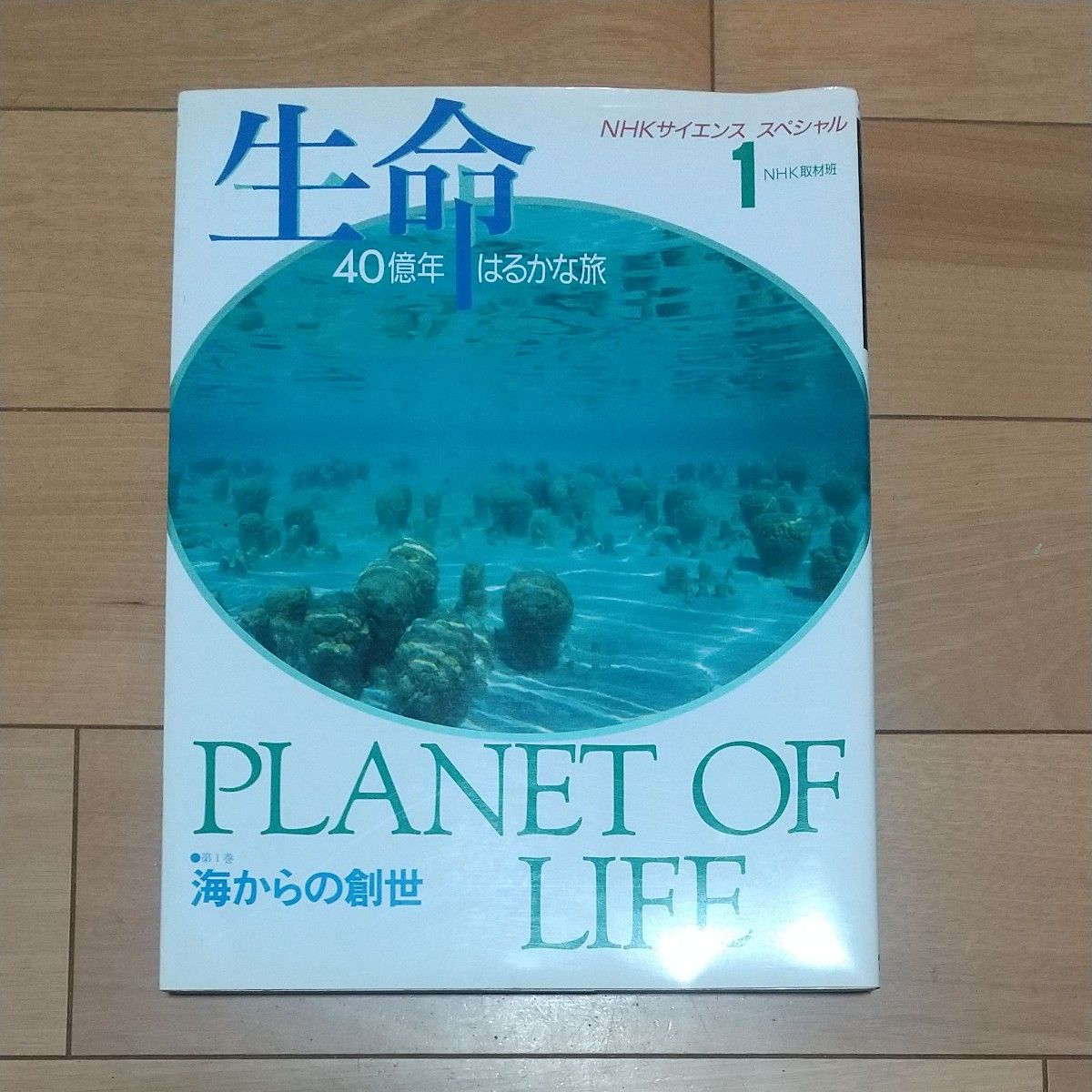 NHK科学特别生命40亿年遥远的旅行1卷从海的创世
