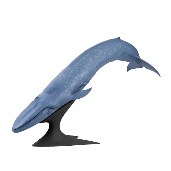 Blue Whale National Museum of Science and Nature Permanent Exhibition (Outdoor Display) Completed Figure [Kaiyodo Kochi] [Free Shipping] [November Reservation]