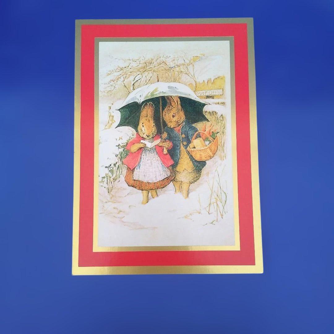 Special Offer Peter Rabbit Christmas Cards (9 pieces) No.40575 Shadow Box